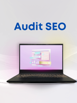 audit-seo