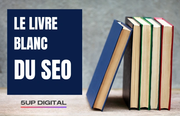 livre-seo